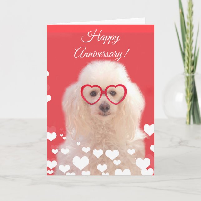 Happy Anniversary Poodle dog card (Front)