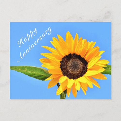 Happy Anniversary Postcard Sunflower on Blue Sky