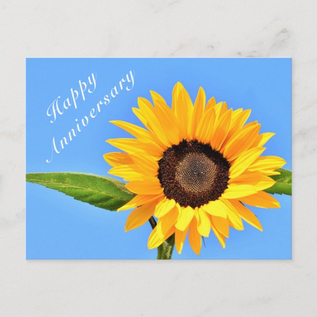 Happy Anniversary Postcard Sunflower on Blue Sky (Front)