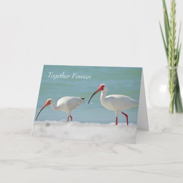 Happy Anniversary Pretty Bird Card (Front)