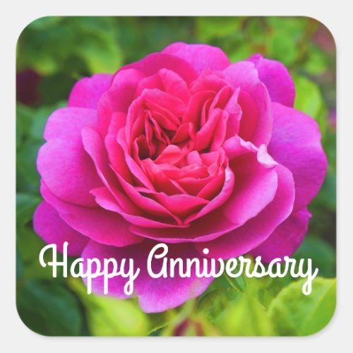 Happy Anniversary Princess Anne Rose 1 Stickers
