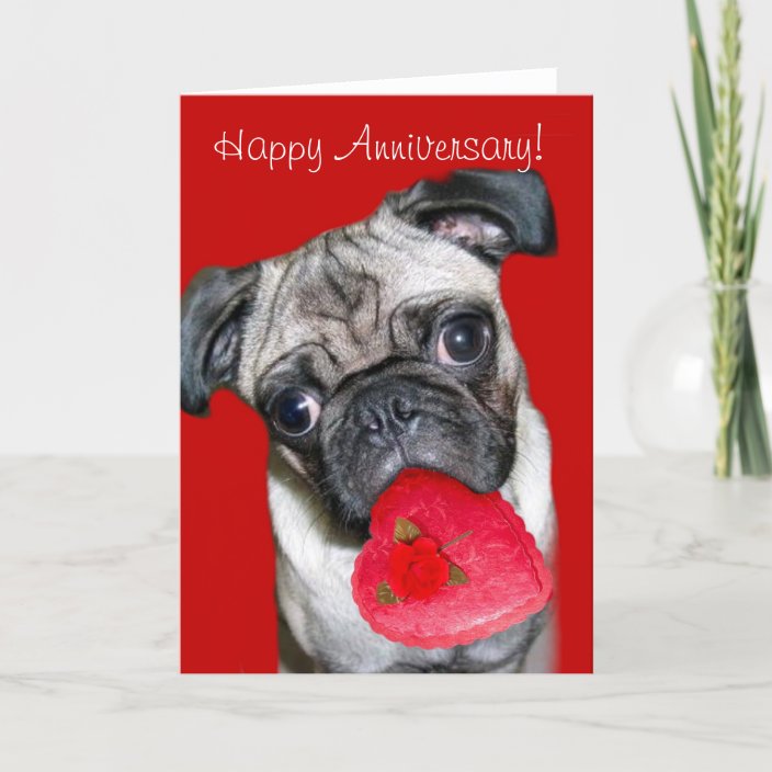 Anniversary greetings card Pug