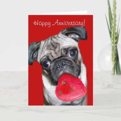 Happy Anniversary Pug greeting card
