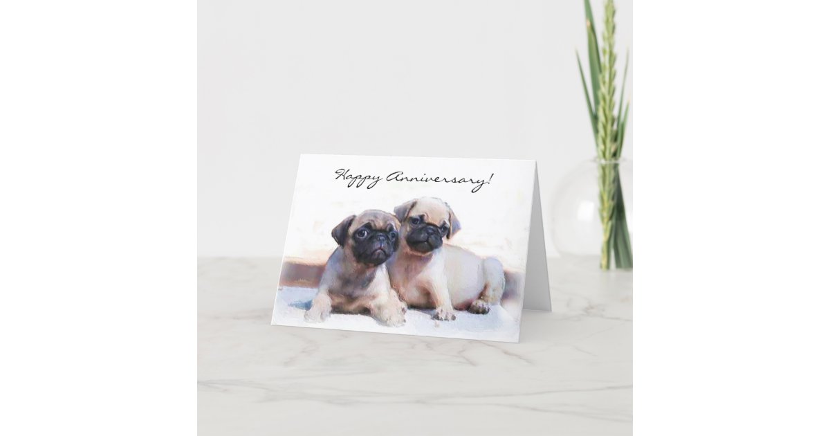 Happy Anniversary Pug Puppies Greeting Card Zazzle Com