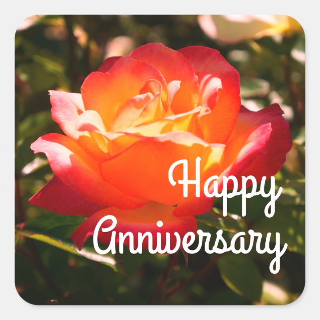 Happy Anniversary Rainbow Sorbet Rose #5 Stickers (Front)