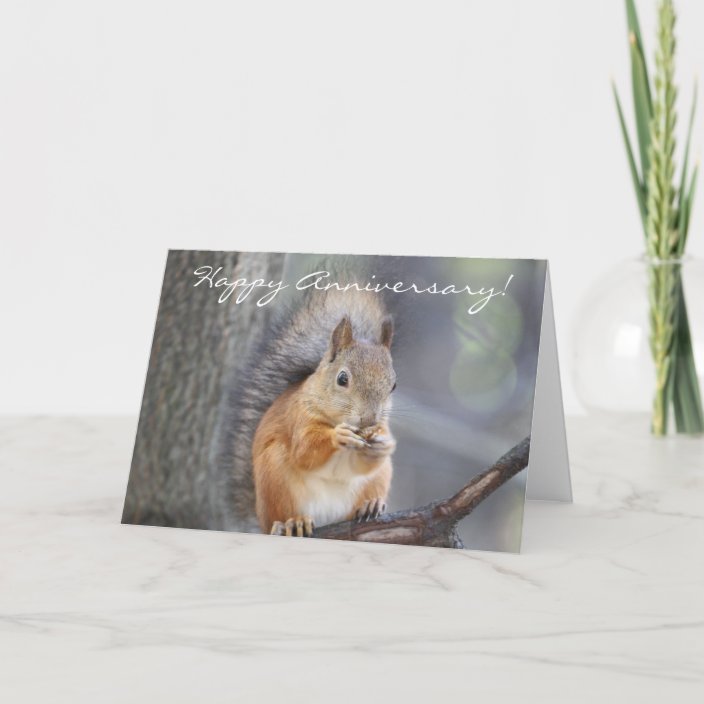 Happy Anniversary Red Squirrel greeting card | Zazzle.com