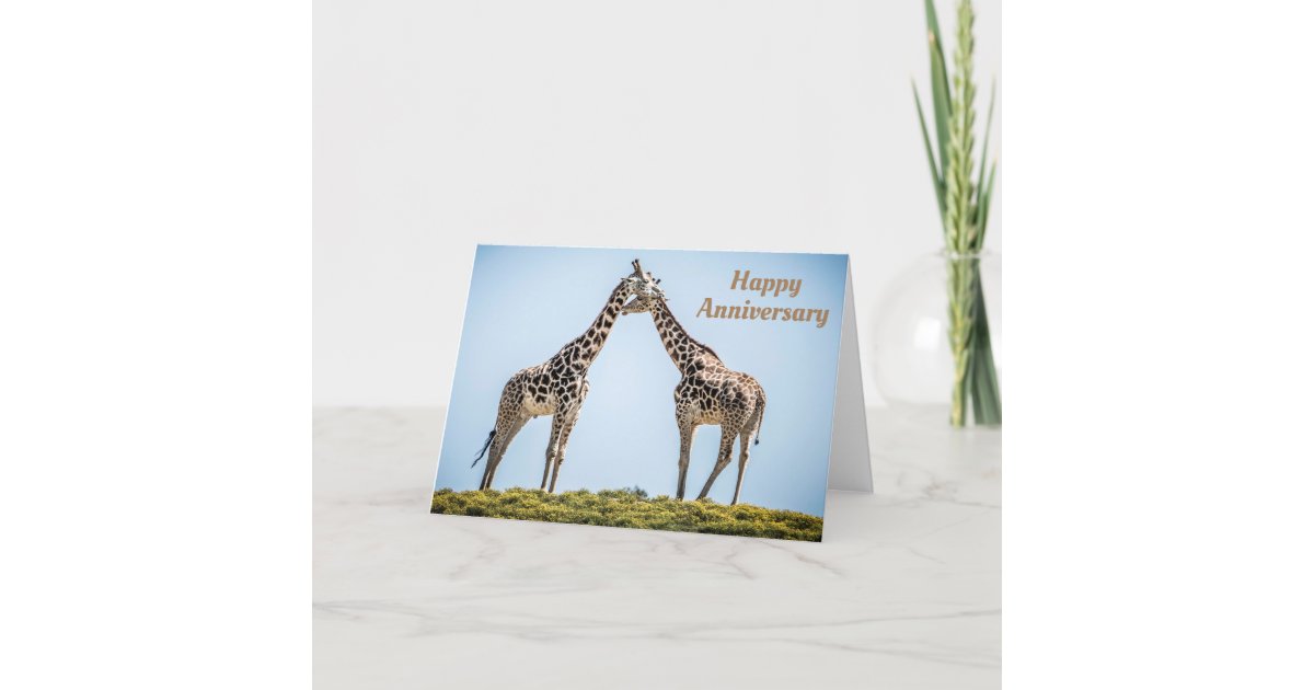 Happy Anniversary Romantic Giraffes Kissing Card Zazzle Com