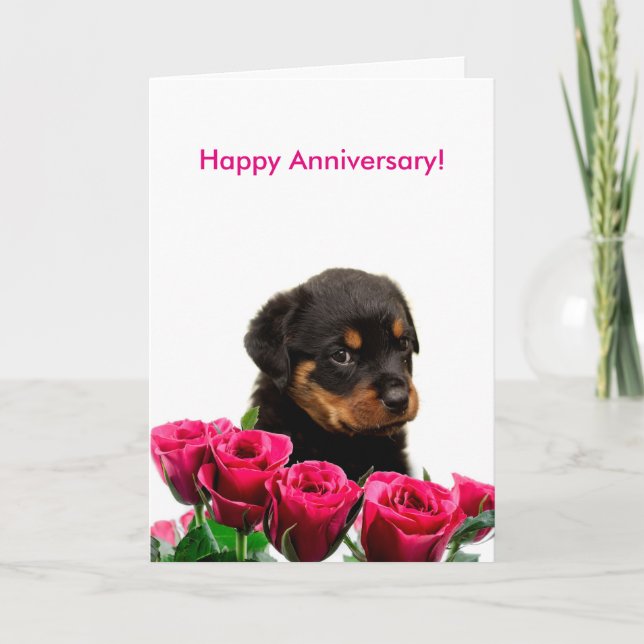 Happy Anniversary Rose Rottweiler Puppy Card (Front)