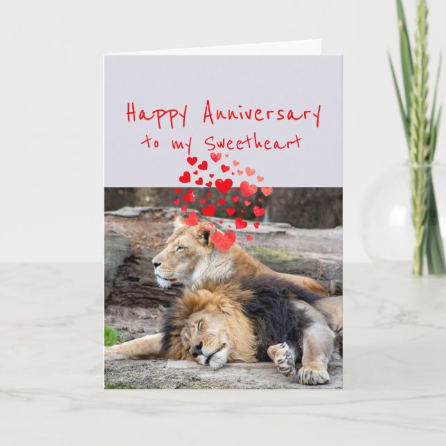 Happy Anniversary Sweet Romantic Lion Holiday Card (Front)