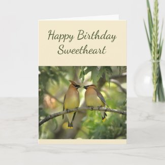 Happy Anniversary Sweetheart Birds in Love Fun Card