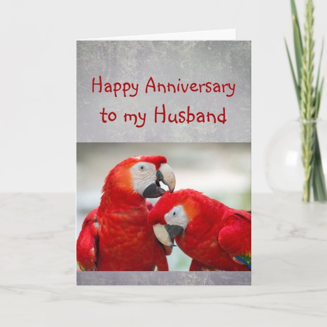Happy Anniversary Sweetheart Parrot Husband Love Card (Front)