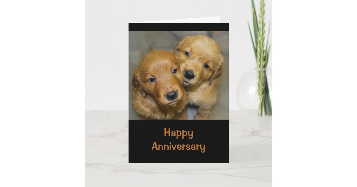 Happy Anniversary To A Dog -Gone Cute Couple Card Zazzle.com