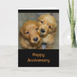 Happy Anniversary To A Dog-gone Cute Couple Card at Zazzle