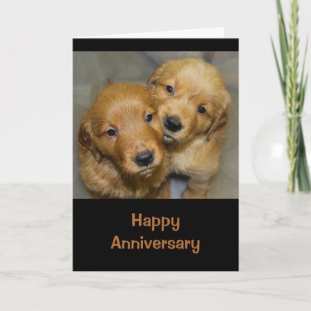 Happy Anniversary To A Dog-gone Cute Couple Card