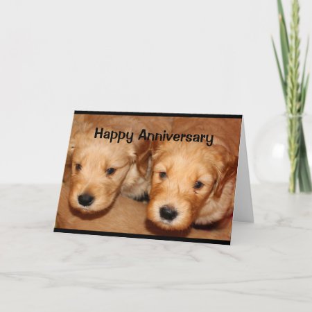 Happy Anniversary To A Dog-gone Cute Couple Card