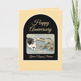 Happy Anniversary To My Napping Partner/kittens Card