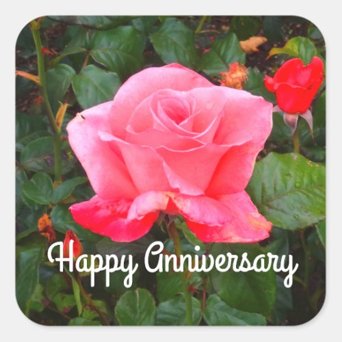 Happy Anniversary Touch of Class Rose 1 Stickers