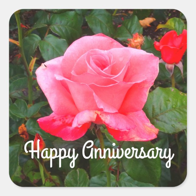 Happy Anniversary Touch of Class Rose #1 Stickers (Front)