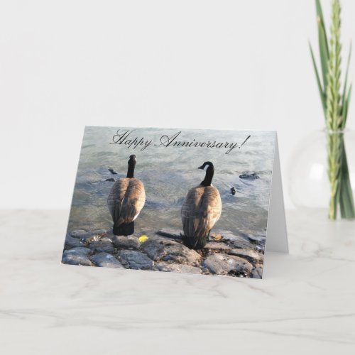 Happy Anniversary Two Canadian Geese greeting card