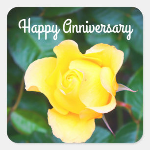 Happy Anniversary Walking on Sunshine Rose #1 Square Sticker