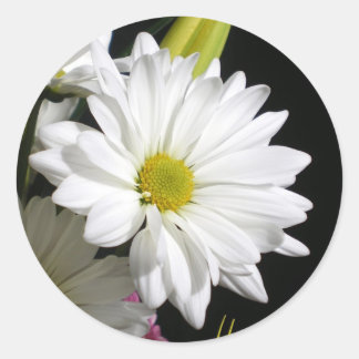 Happy Anniversary White Daisy Photography Classic Round Sticker