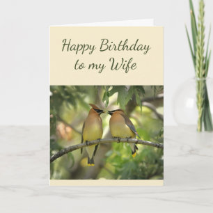 Happy Anniversary Wife Birds in Love Fun  Card