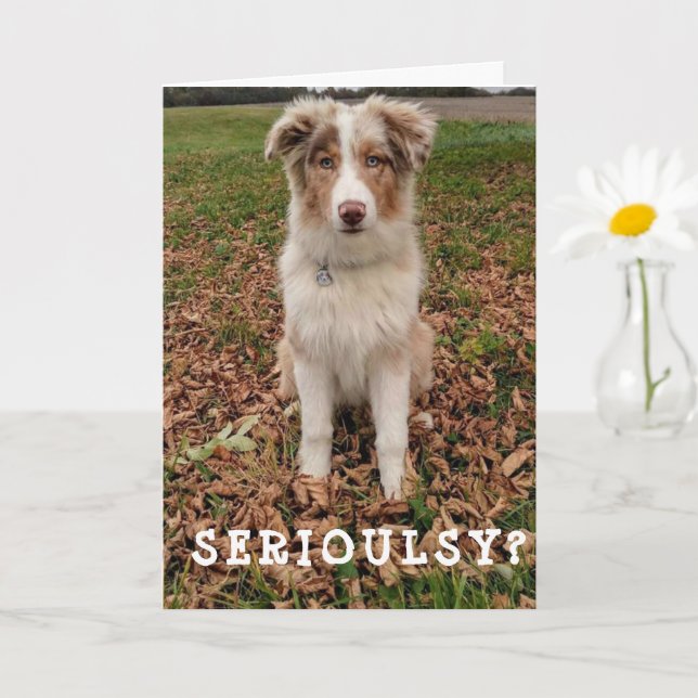 HAPPY *APRIL* BIRTHDAY FROM A VERY SMART AUSSIE CARD (Small Plant)