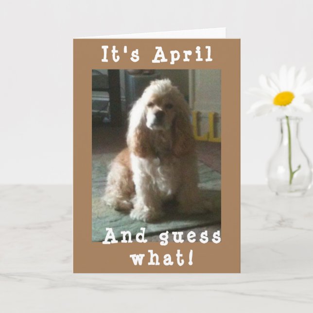 HAPPY *APRIL* BIRTHDAY FROM CUTE COCKER SPANIEL CARD (Small Plant)