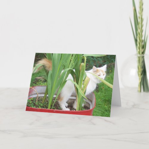 HAPPY APRIL BIRTHDAY FROM NOEL THE CAT CARD