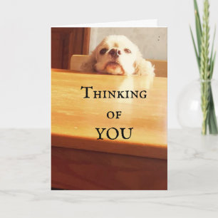 HAPPY ***AUGUST BIRTHDAY*** TO YOU! CARD