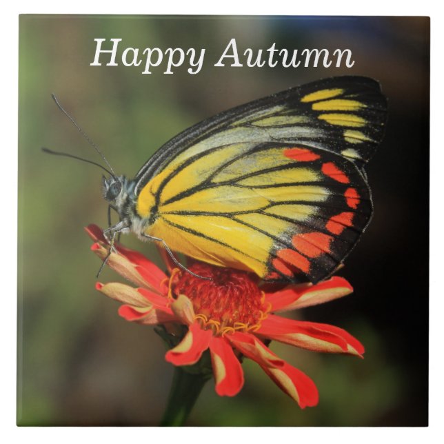 Happy Autumn Butterfly Tile (Front)