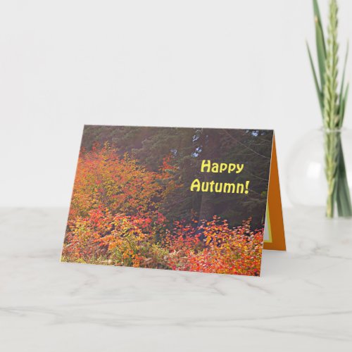 Happy Autumn Card Pretty Fall Trees Greeting Card