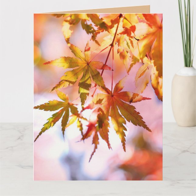 HAPPY AUTUMN FALL GREETING CARDS (Front)
