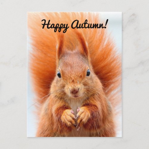 Happy Autumn Squirrel Postcard