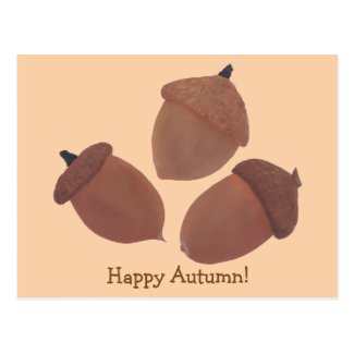 Happy Autumn Three Acorns Postcards