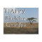 Happy B-day Grandpa Serengeti Plains Postcard