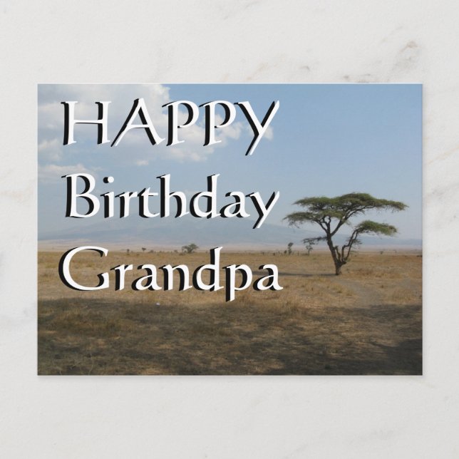 Happy B-day Grandpa Serengeti Plains Postcard (Front)