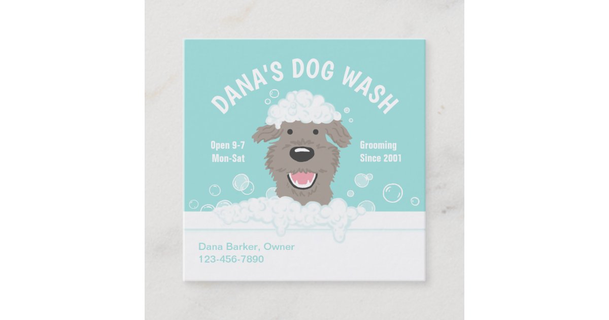 Happy Bathtub Dog Pet Grooming Cute Cartoon Square Business