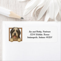 Happy Bearded Collie Return Address Label