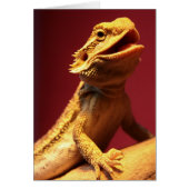 Happy Bearded Dragon (Front)