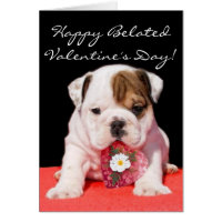 Happy beated Valentine's Day bulldog puppy card
