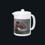 Happy Beaver Teapot<br><div class="desc">Happy beaver smiling, swimming, and working. Using amazing and high-quality images of wildlife and nature, WorldDesign is dedicated to creating fun and beautiful products for people to enjoy, share, and promote as gifts. We are a Zazzle ProSeller and own the copyright to all the images presented and ALL of our...</div>