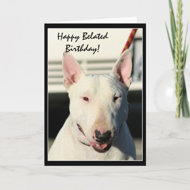 Happy Belated Birthday Bull Terrier greeting card (Front)