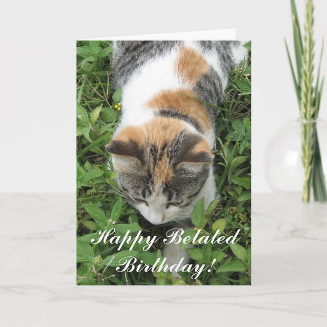 Happy Belated Birthday Calico Cat Greeting card (Front)