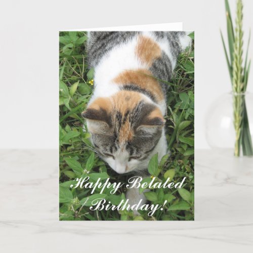 Happy Belated Birthday Calico Cat Greeting card