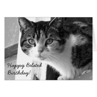 Cat Belated Birthday Gifts on Zazzle