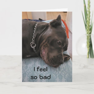 HAPPY BELATED BIRTHDAY - FEEL SO GUILTY  CARD