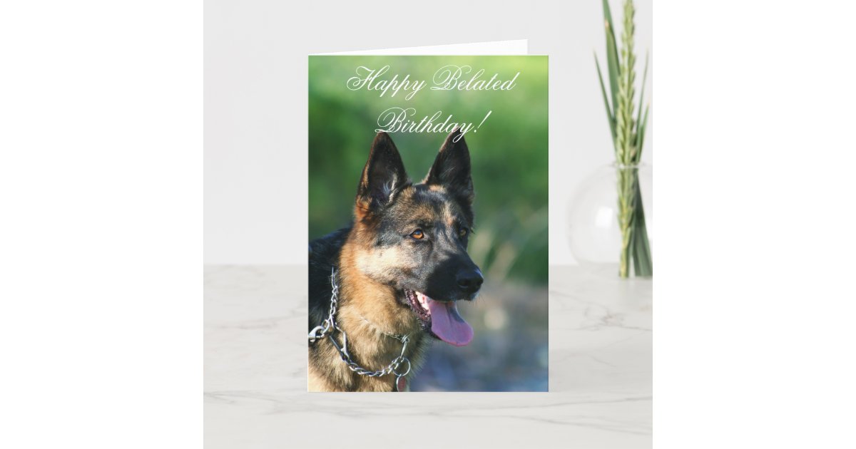 Happy Belated Birthday German Shepherd card | Zazzle.com