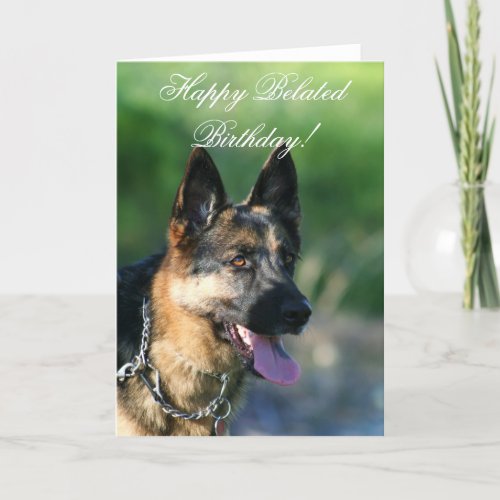 Happy Belated Birthday German Shepherd card