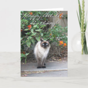 Happy Belated Birthday Himalayan Mix cat Card